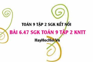 Bài 6.47 SGK Toán 9 tập 2 Kết nối tri thức